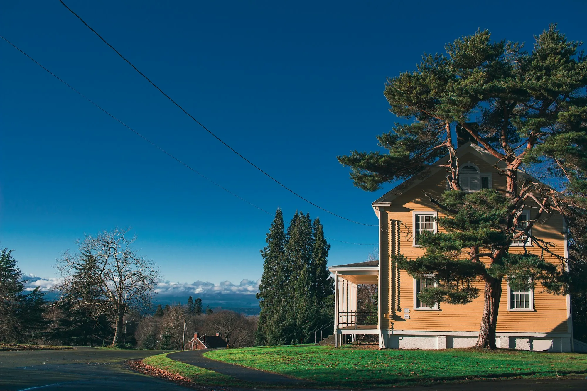 A Pacific Northwest home with conifers behind it