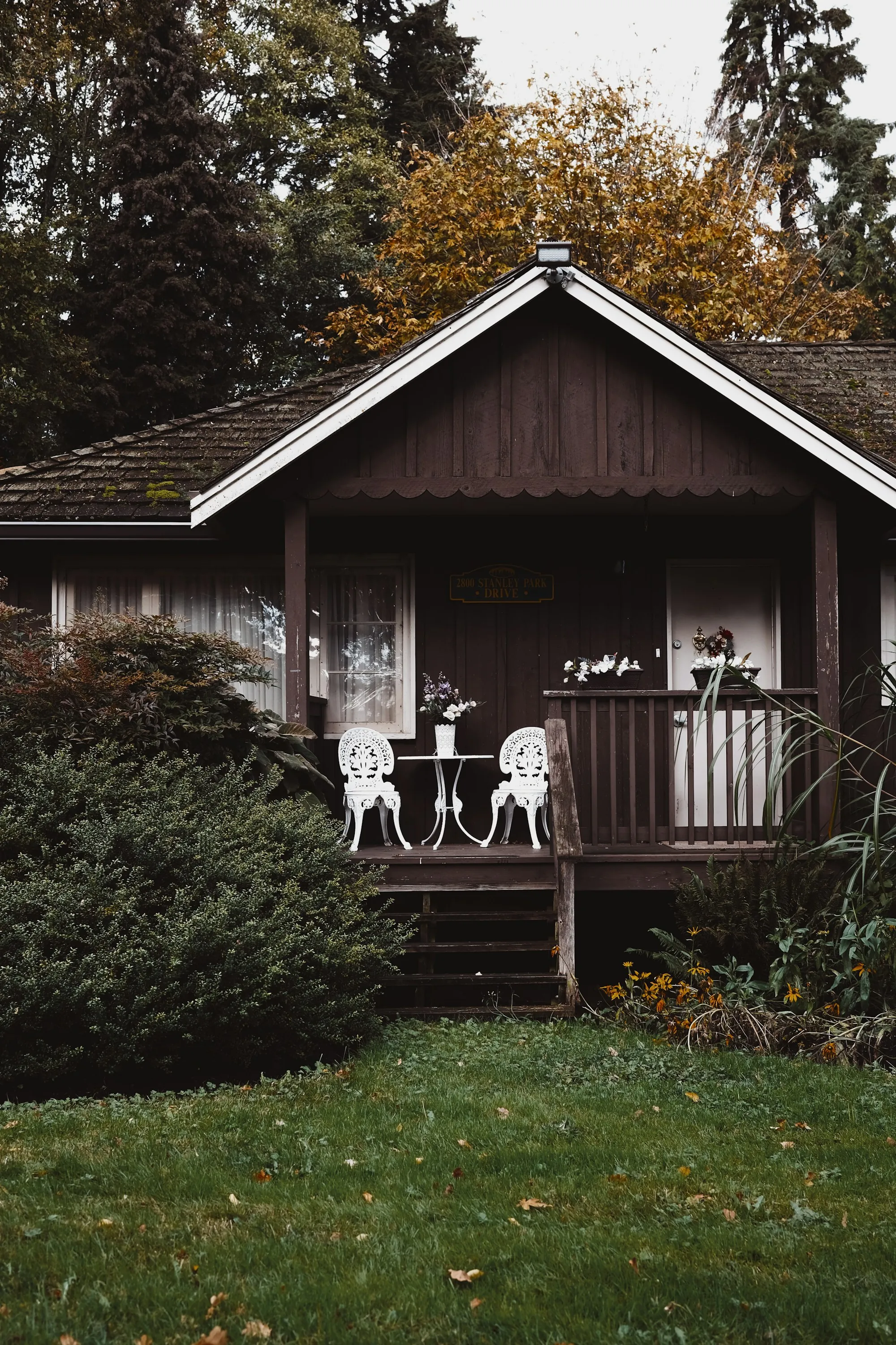 A covered porch on a home surrounded by greenery